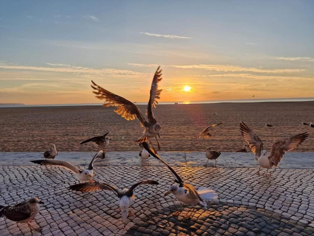 Sunset Terrace Daire Nazaré Dış mekan fotoğraf